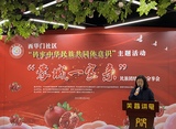 文章附图