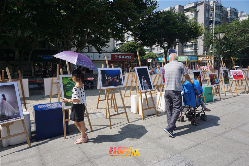 民安社区“情定七夕 相约民安”摄影作品展活动 (3).JPG