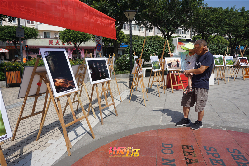民安社区“情定七夕 相约民安”摄影作品展活动 (5).JPG