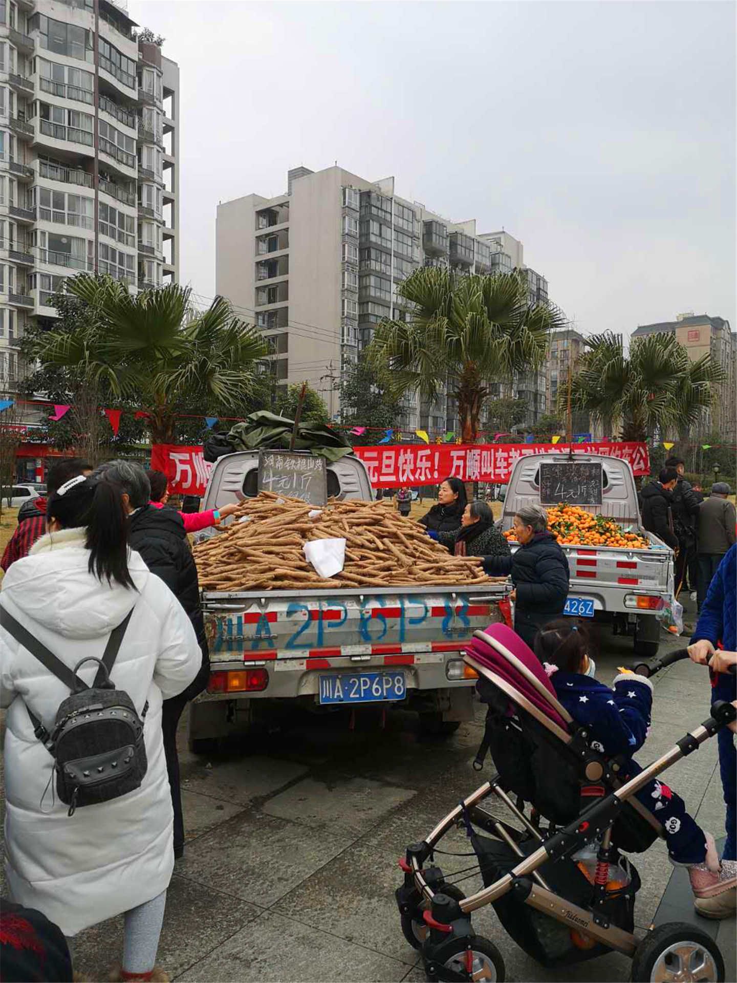 图片2_副本.jpg