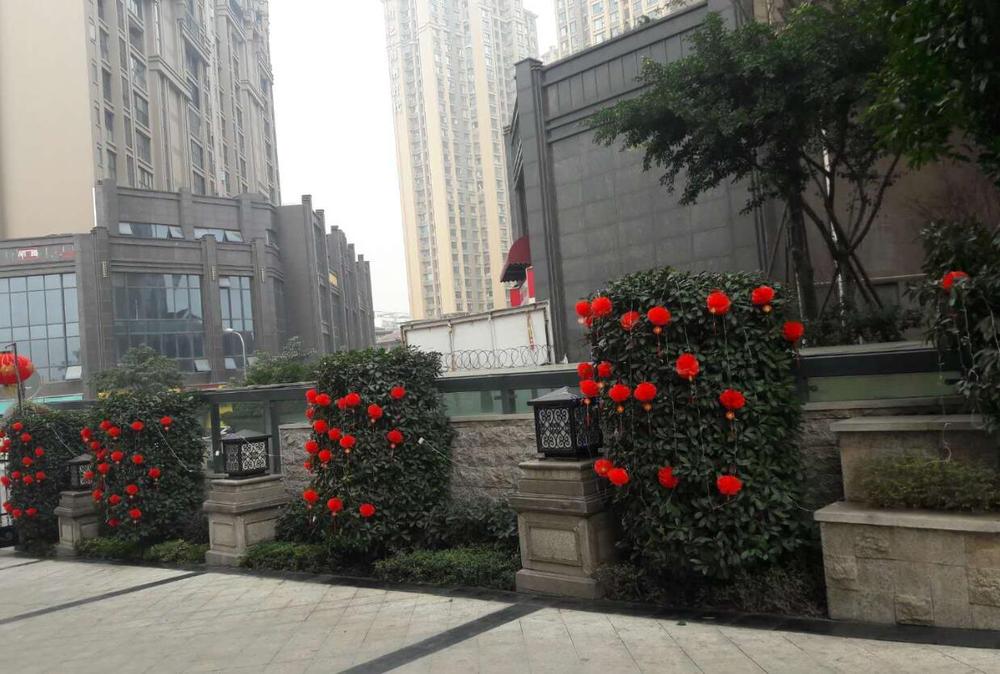 QQ截图20180208110220.jpg