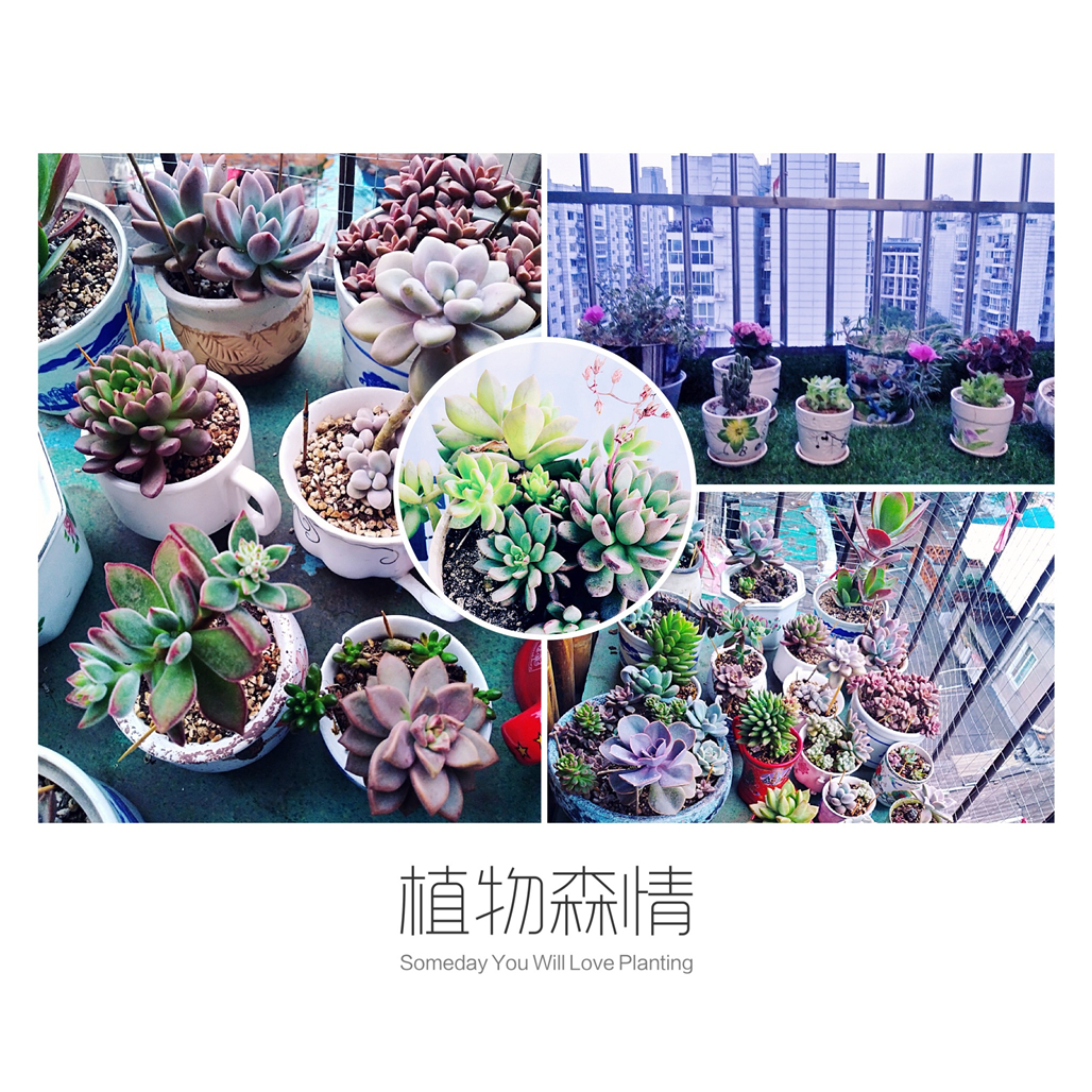 微信图片_20180531183614.jpg