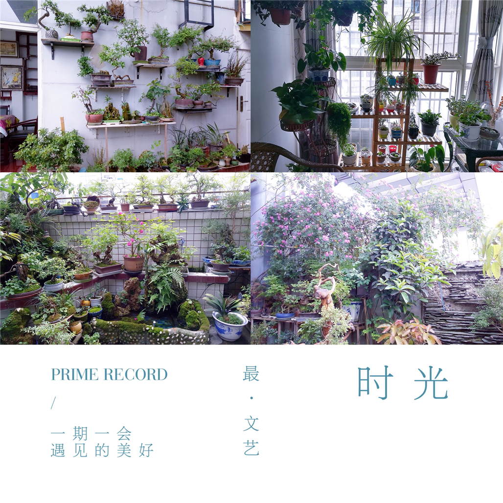 微信图片_20180531183619.jpg
