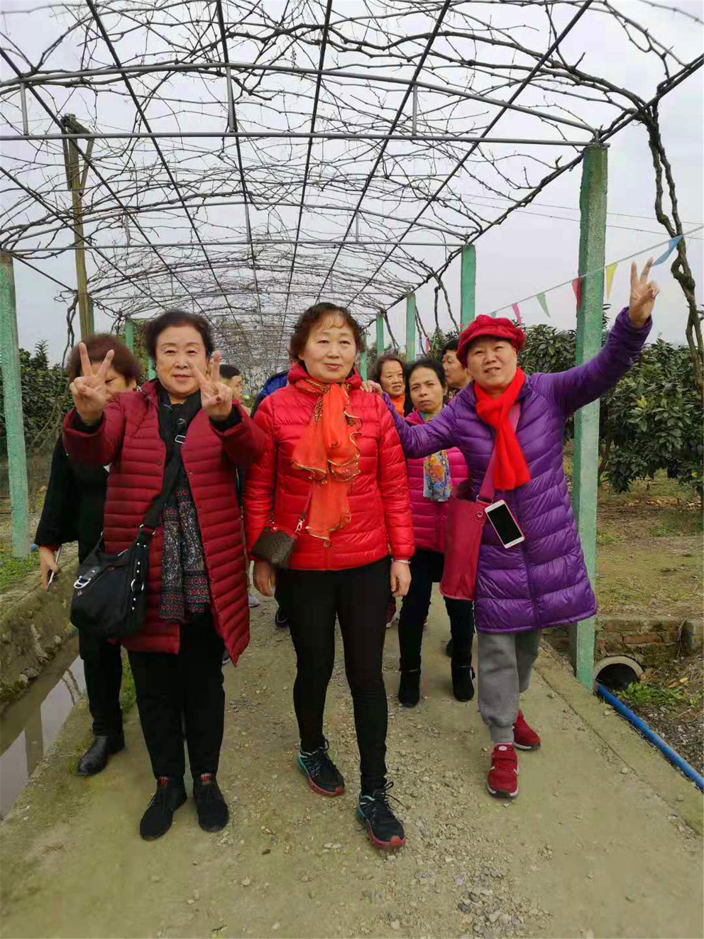图片5.jpg