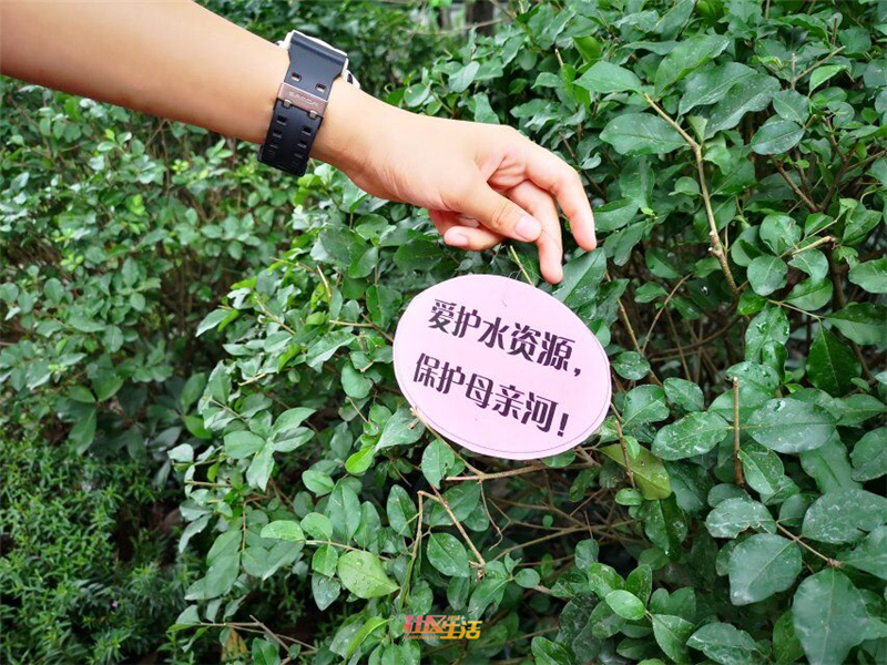 QQ图片20190705111814.jpg