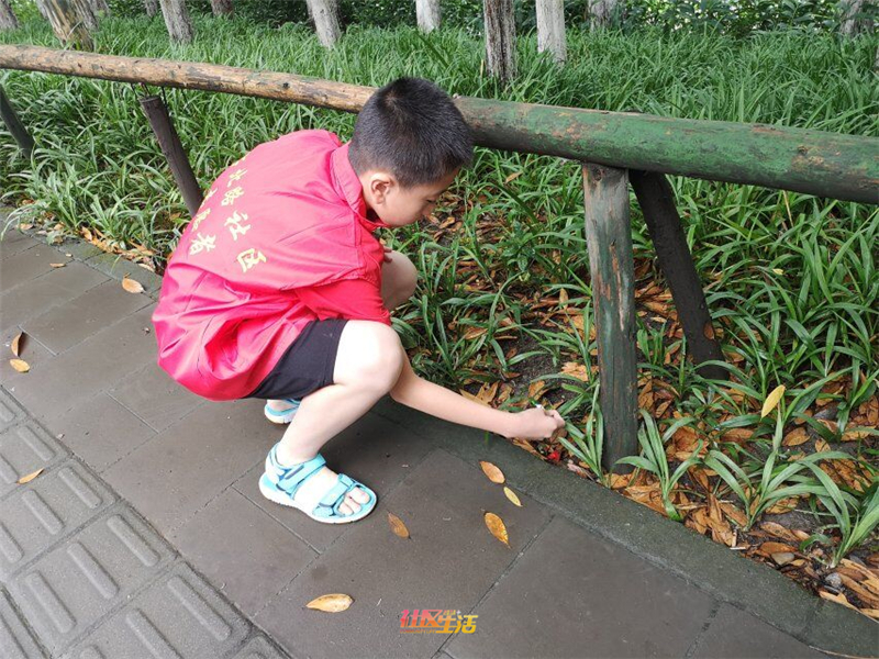 QQ图片20190705111807.jpg