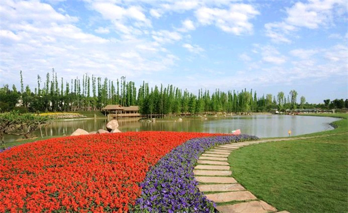 成都最美观花基地——秀丽东方