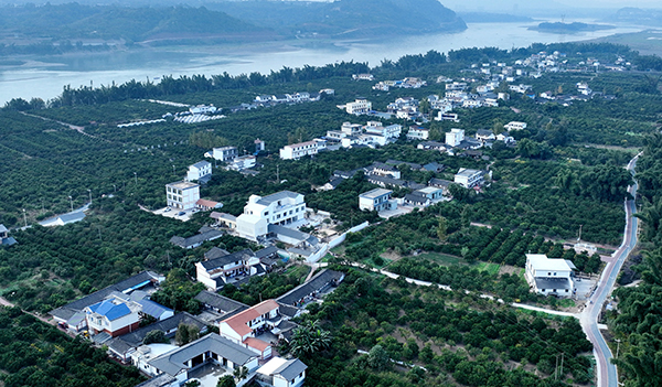 宜宾市南溪区中坝社区：为乡村“美颜” 为发展“赋能”_fororder_DJI_0308