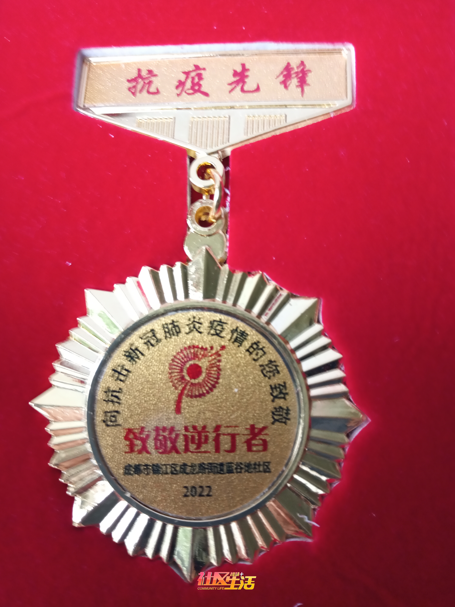 成龙路街道蓝谷地社区授予老协志愿者"抗疫先锋"徽章